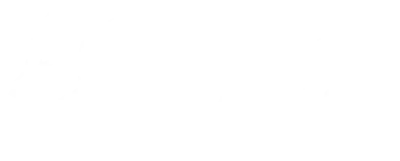 Logo de Nordic Wolf