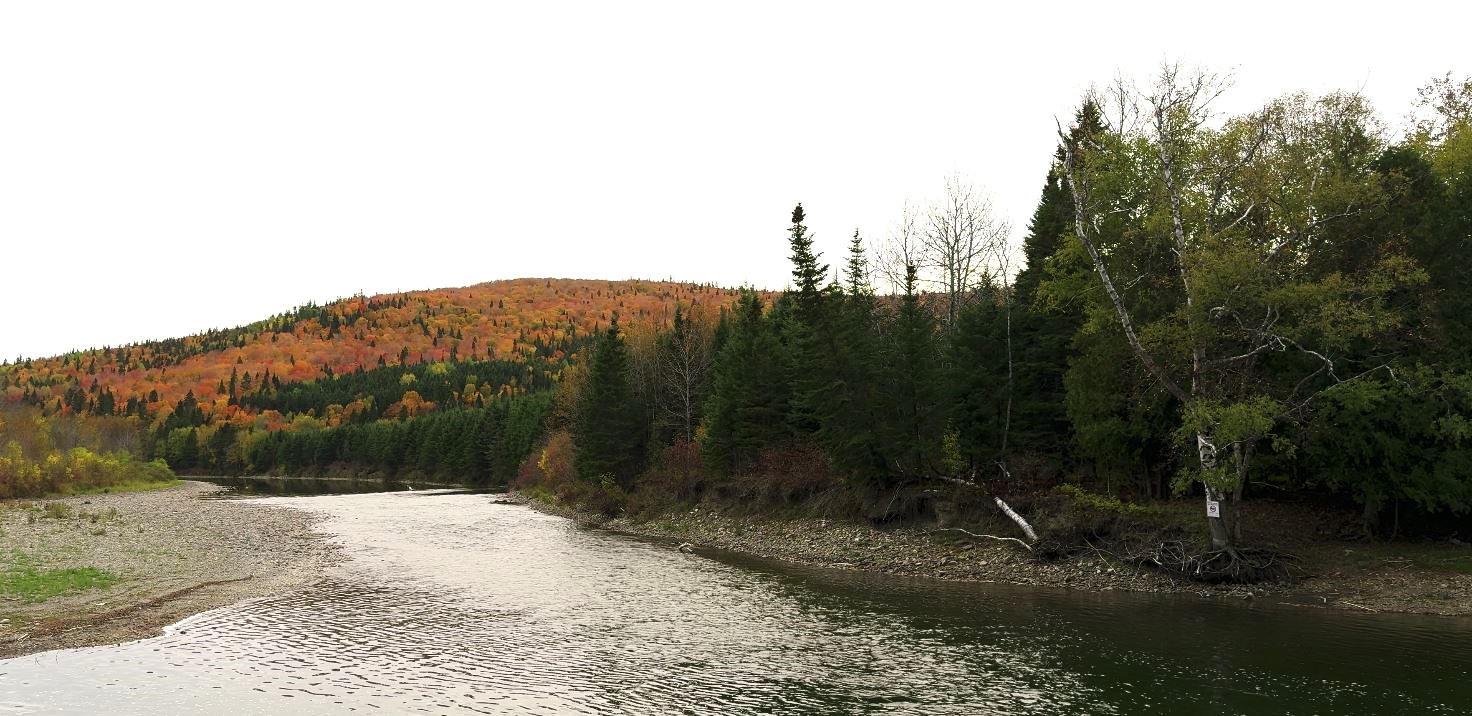 Saint-René-de-Matane