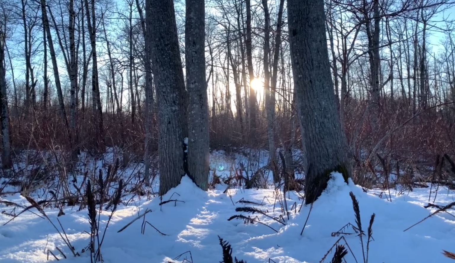 Parcours de promenades