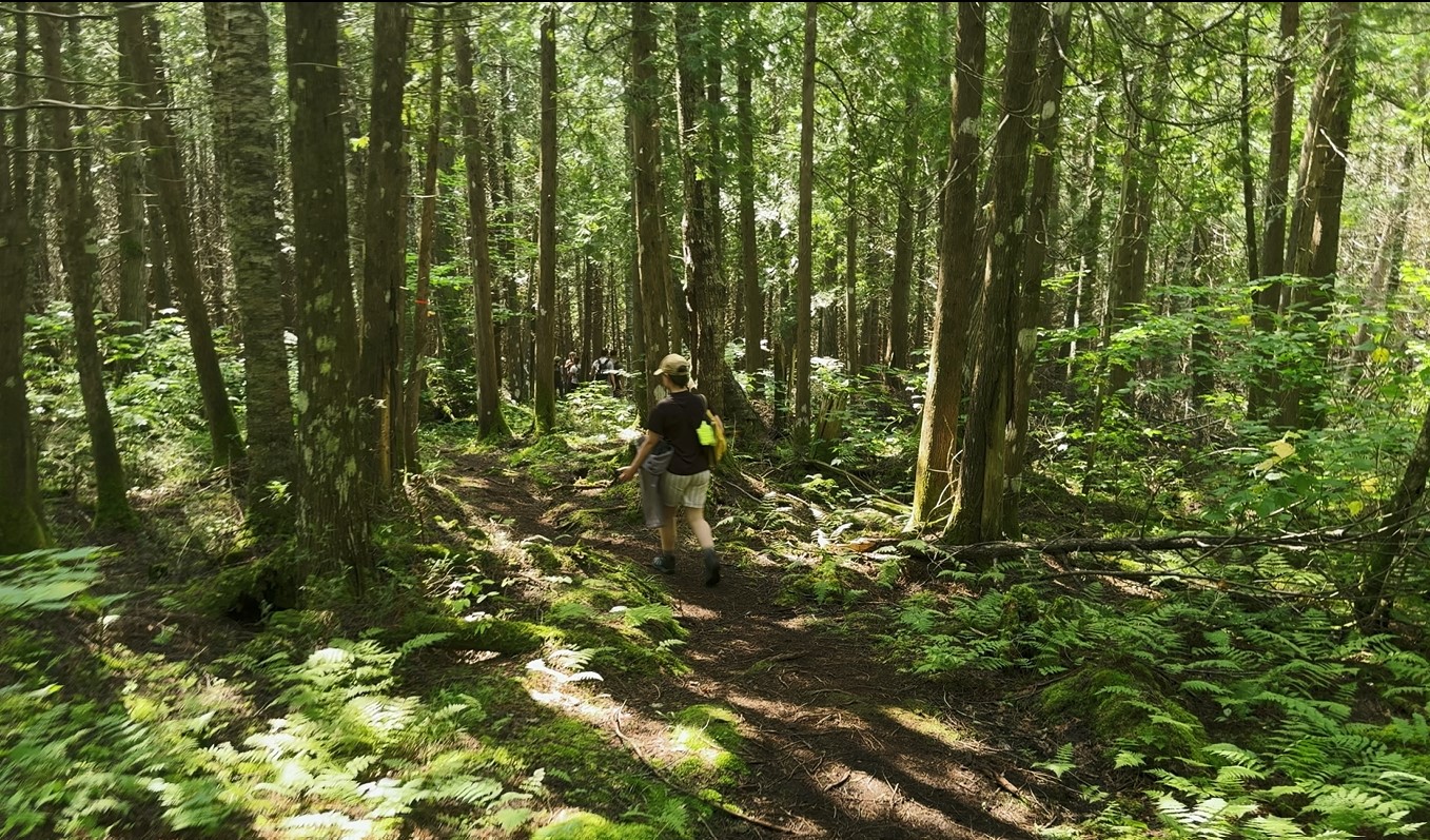 Mont Charles-Édouard-Vézina